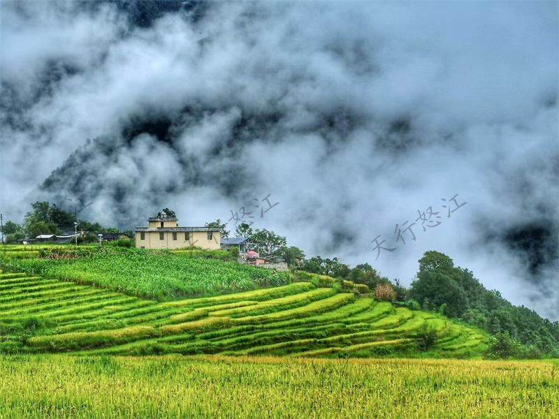 怒江旅游丙中洛,以優(yōu)美的田園風(fēng)光和宗教賦予的山水神性而著稱,有人神共居的人間仙境之譽(yù)