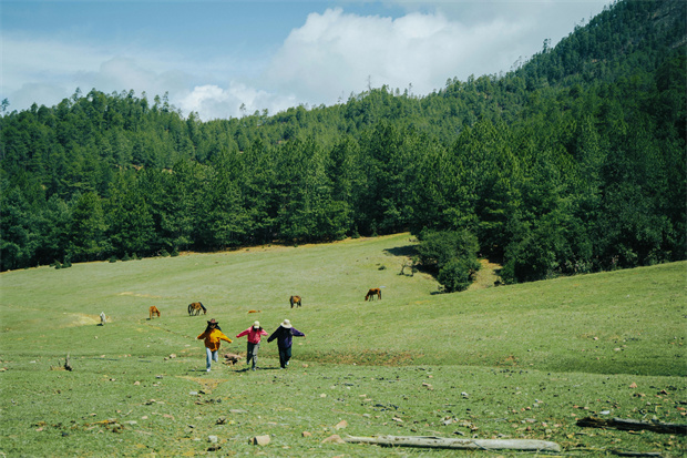 云南旅游,云南旅行社,云南團(tuán)建公司,云南策劃公司,云南會(huì)議會(huì)展,云南旅游地接,怒江旅游,怒江旅行社,怒江團(tuán)建公司,怒江策劃公司：“被羅古箐的山野擁抱、滌凈，再神清氣爽地回去”